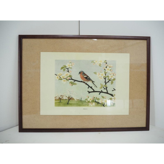 Image 1 of Mid century schoolposter, Tsjecho-Slowakije 1960