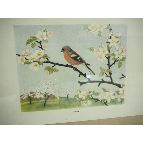 Image 1 of Mid century schoolposter, Tsjecho-Slowakije 1960