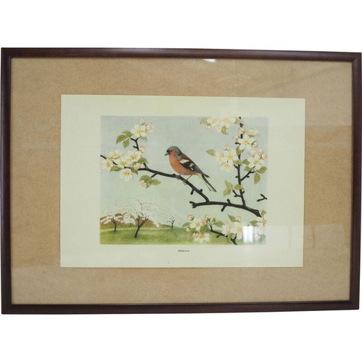 Mid century schoolposter, Tsjecho-Slowakije 1960