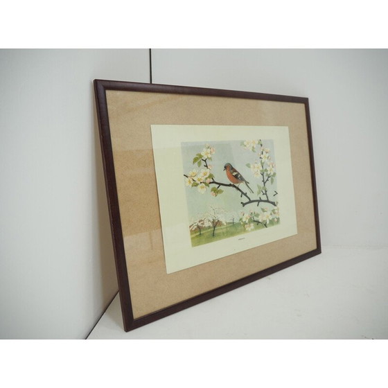 Image 1 of Mid century schoolposter, Tsjecho-Slowakije 1960