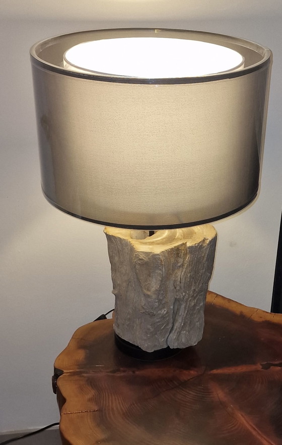 Image 1 of Vintage lamp met versteend hout