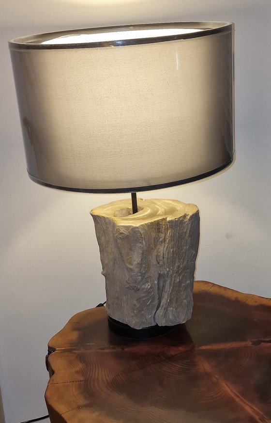 Image 1 of Vintage lamp met versteend hout