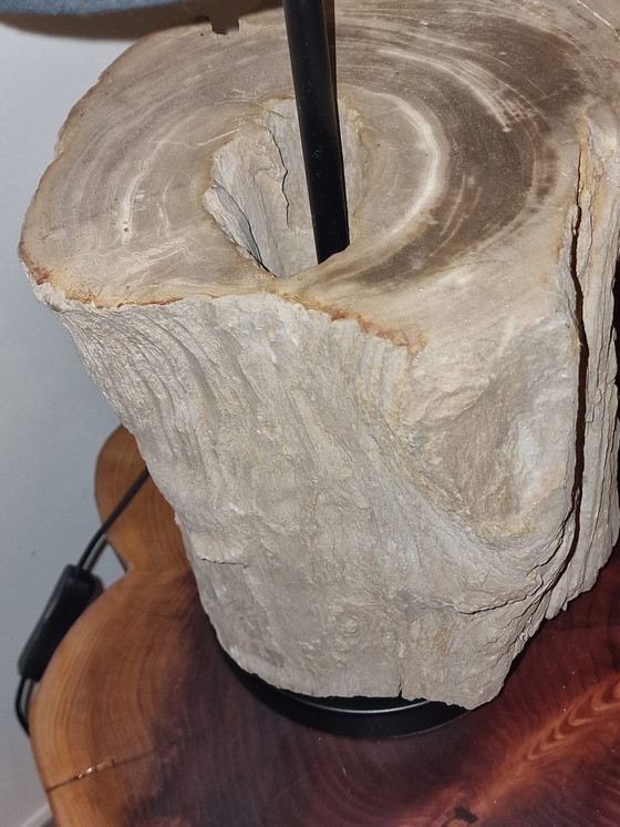 Image 1 of Vintage lamp met versteend hout