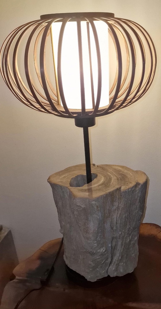 Image 1 of Vintage lamp met versteend hout