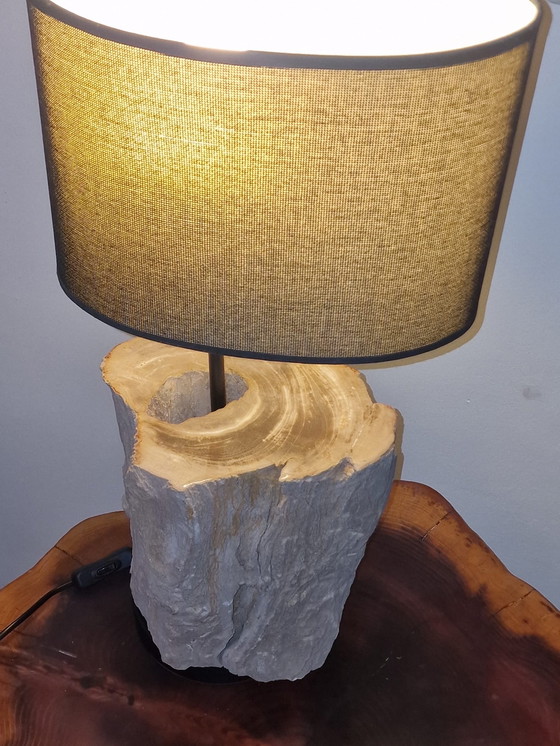 Image 1 of Vintage lamp met versteend hout