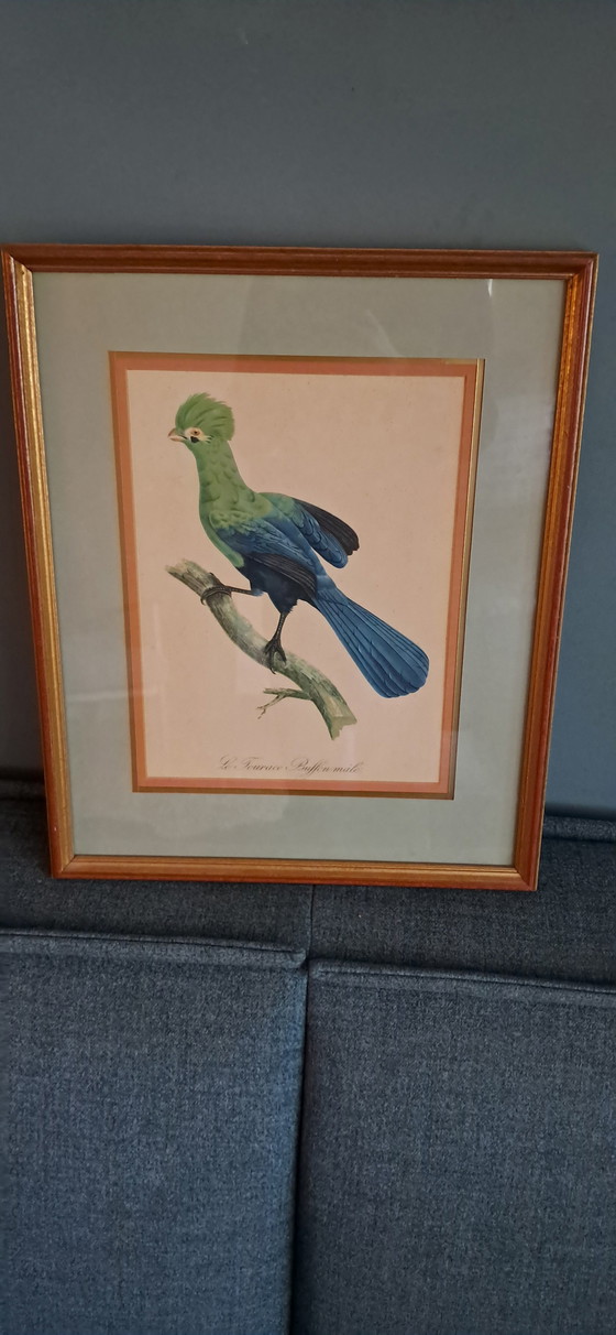 Image 1 of Engraving By Auguste Pinxt, 1950S