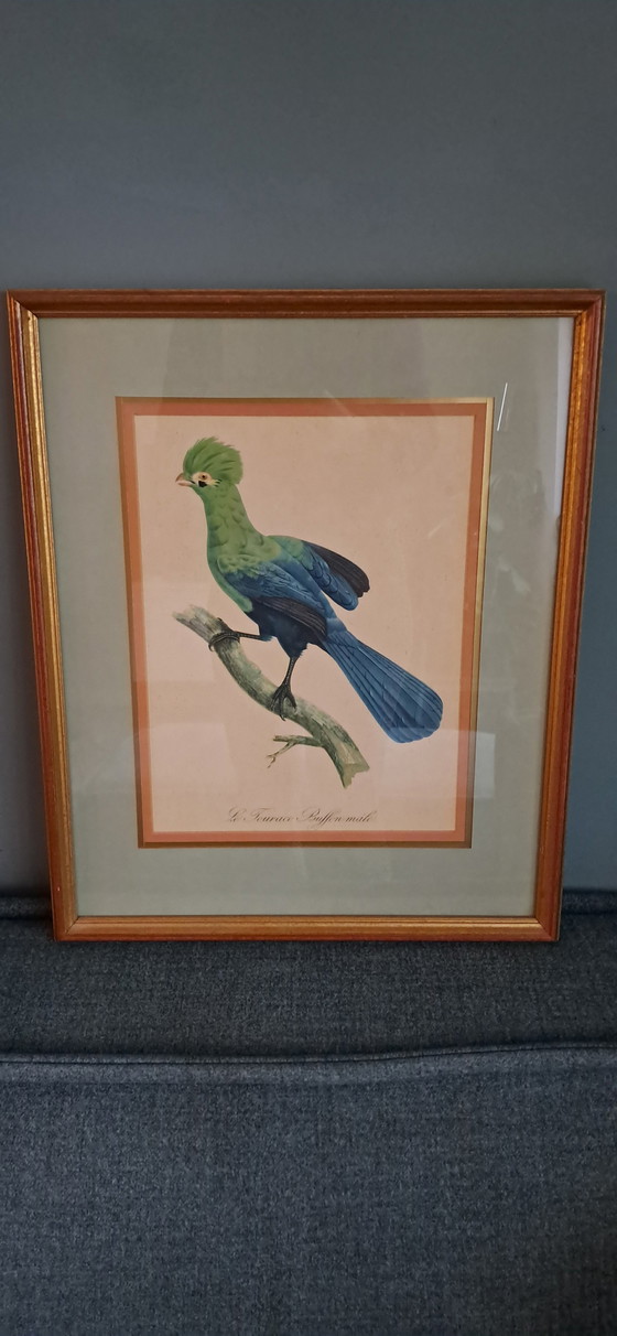 Image 1 of Engraving By Auguste Pinxt, 1950S