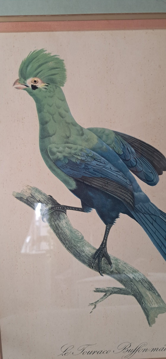 Image 1 of Engraving By Auguste Pinxt, 1950S