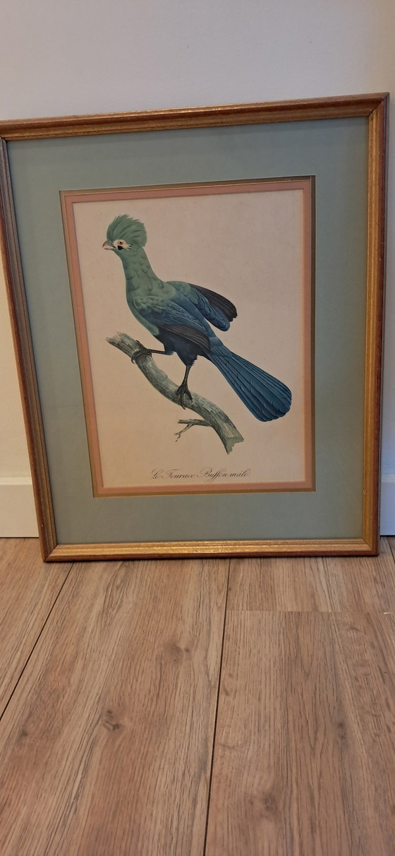 Image 1 of Engraving By Auguste Pinxt, 1950S