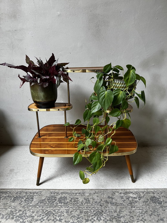 Image 1 of Plantentafel Etagiere Jaren 60 Hout Met Goudkleurige Details Op Ranke Pootjes