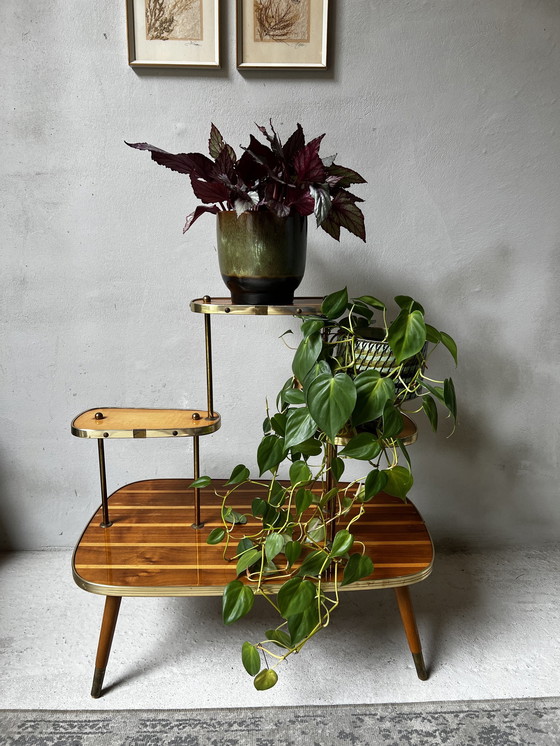 Image 1 of Plantentafel Etagiere Jaren 60 Hout Met Goudkleurige Details Op Ranke Pootjes