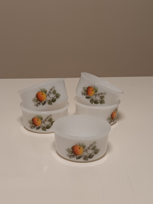 Arcopal Ramekin Potjes