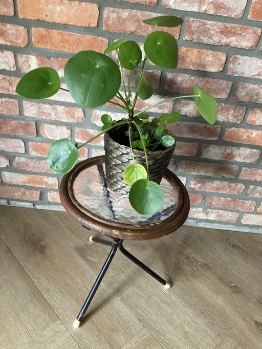 Vintage Plantentafeltje Jaren 60