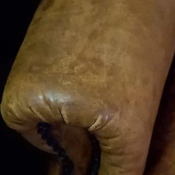 Image 1 of Karakteristieke Schapenleren Oorfauteuil