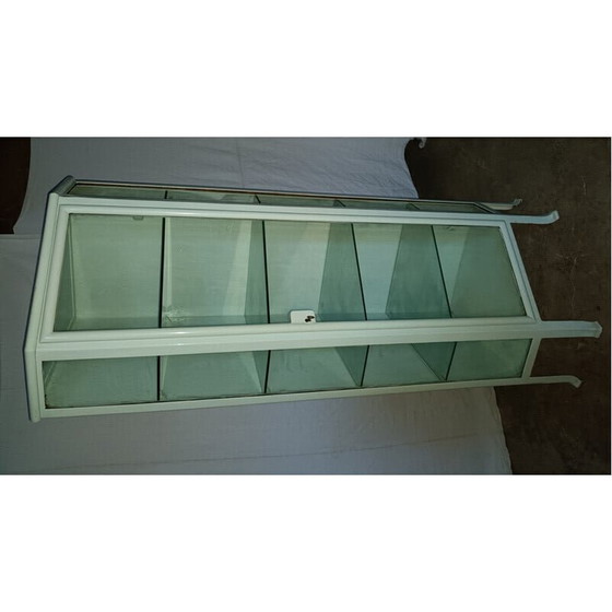 Image 1 of Vintage metalen oogarts hoekvitrine