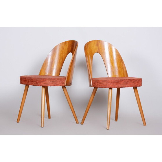 Image 1 of Paar mid century stoelen van Antonín Šuman, jaren 1950