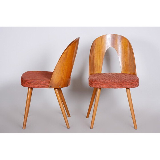 Image 1 of Paar mid century stoelen van Antonín Šuman, jaren 1950