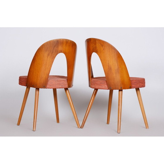 Image 1 of Paar mid century stoelen van Antonín Šuman, jaren 1950