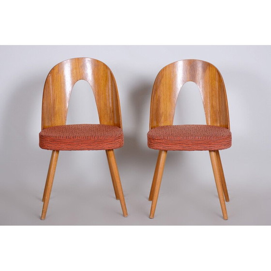 Image 1 of Paar mid century stoelen van Antonín Šuman, jaren 1950