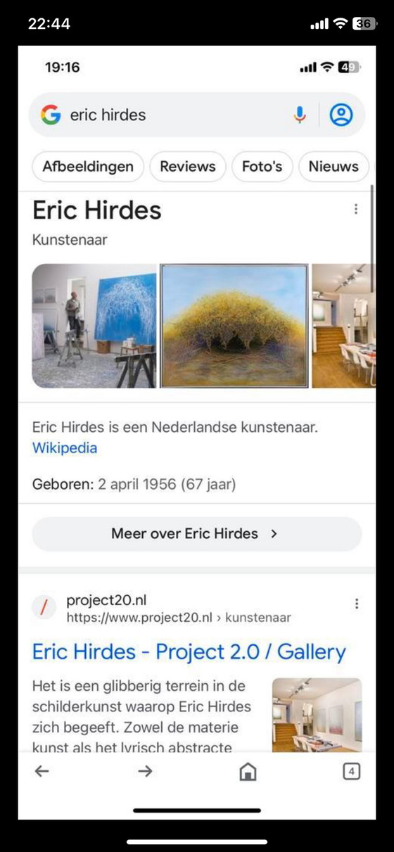 Image 1 of Eric Hirdes schilderij