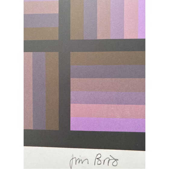 Image 1 of Vintage fotolithografie "Tribute to Vasarely" door Jim Bird voor Poligrafa, Barcelona 1970