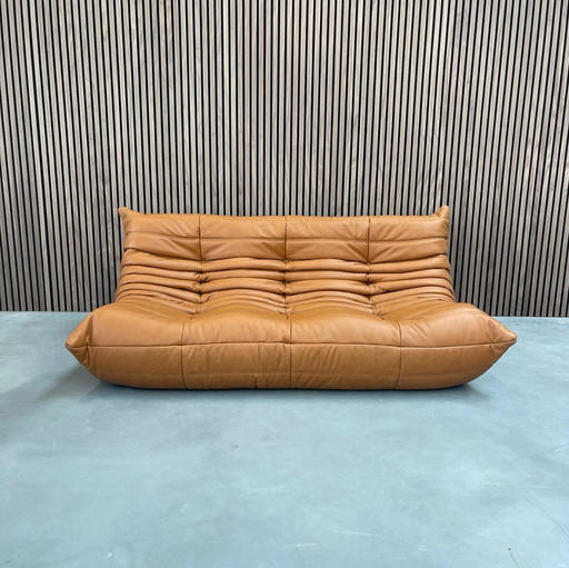 Ligne Roset Togo Cognac Leder 3 Zits