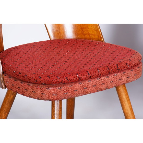 Image 1 of Paar vintage stoelen van beukenhout, walnoot en stof van Antonín Šuman, Tsjechië 1950