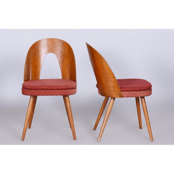 Image 1 of Paar vintage stoelen van beukenhout, walnoot en stof van Antonín Šuman, Tsjechië 1950