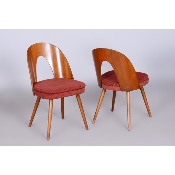 Image 1 of Paar vintage stoelen van beukenhout, walnoot en stof van Antonín Šuman, Tsjechië 1950