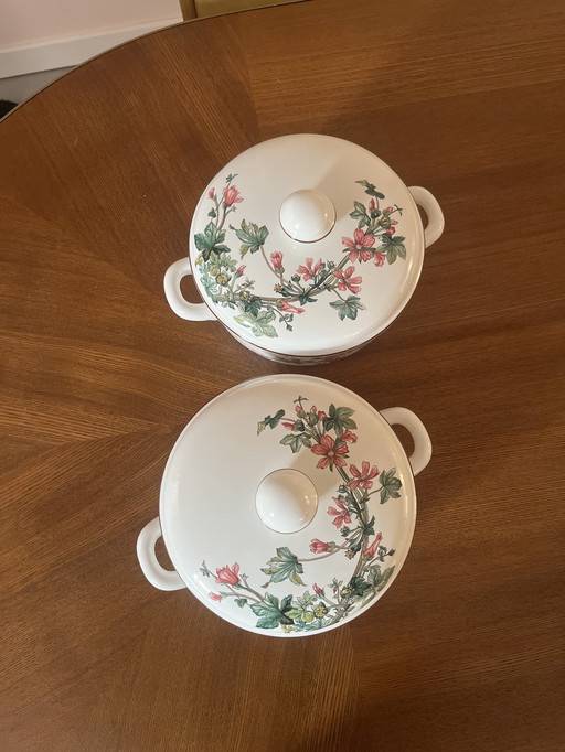 2 Prachtige Schalen Van Villeroy & Boch Botanica