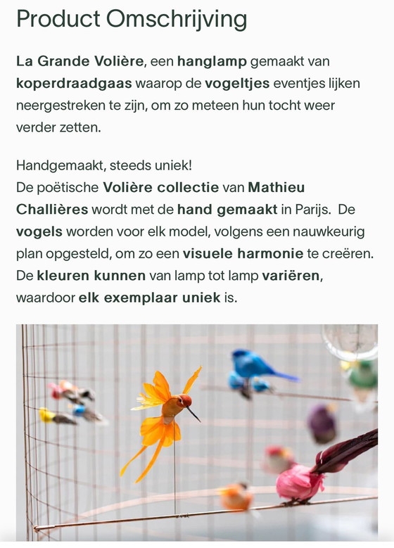 Image 1 of Design Lamp Met Vogels En Koperdraad