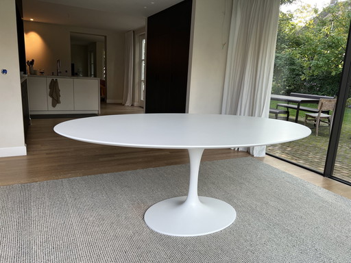 Space Age Eettafel Ovaal