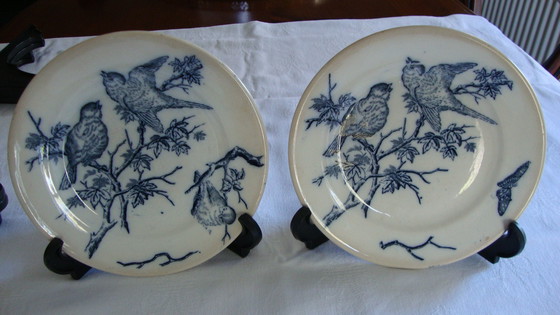 Image 1 of 8x Vintage Bordjes Met Vogeltjes