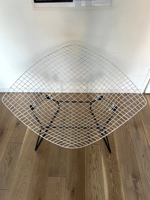 Bertoia Grote Diamant Knoll Herman Miller