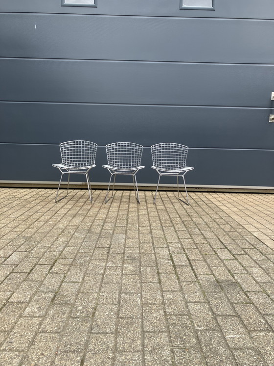 Image 1 of 3x Knoll Bertoia Side chair chroom in mooie staat