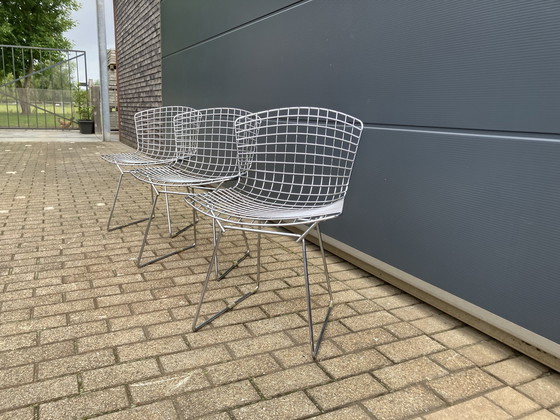 Image 1 of 3x Knoll Bertoia Side chair chroom in mooie staat