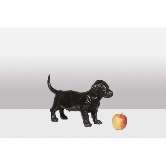 Image 1 of Vintage bronzen "Dog Basset Toc" sculptuur van François Pompon voor Atelier Valsuani, 2006