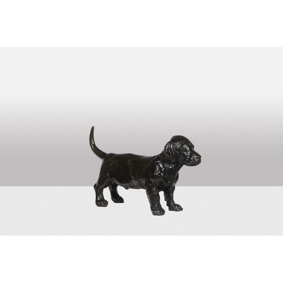 Image 1 of Vintage bronzen "Dog Basset Toc" sculptuur van François Pompon voor Atelier Valsuani, 2006