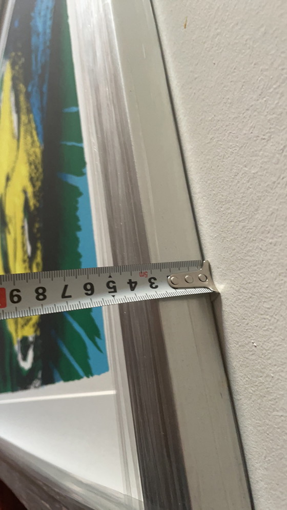 Image 1 of Herman Brood - Zeefdruk - Lady Di