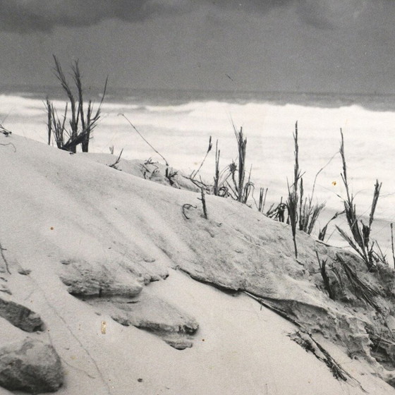 Image 1 of Vintage zwart-wit schilderij met duinen en oceaan, Frankrijk 1960