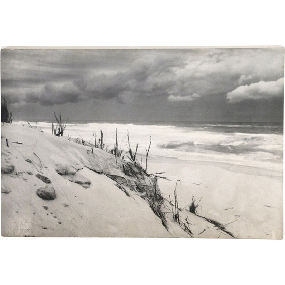 Image 1 of Vintage zwart-wit schilderij met duinen en oceaan, Frankrijk 1960