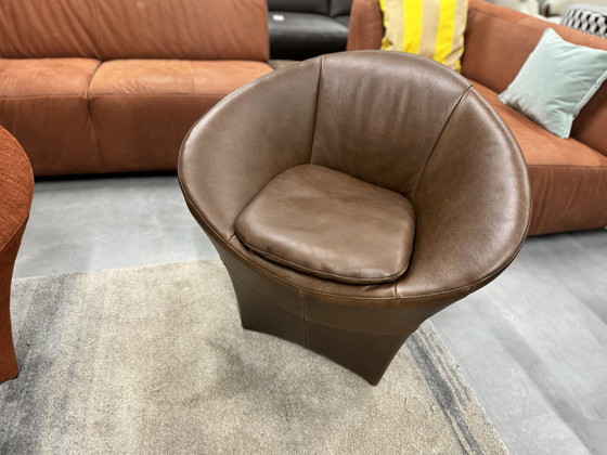 Image 1 of Label Ace fauteuil Bovino bruin leer