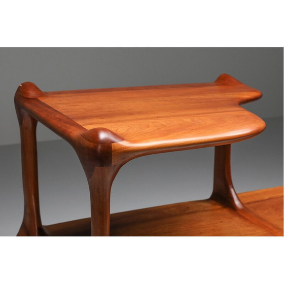 Image 1 of Vintage open opbergplanken van Charles Fisher en Howard Osinski, 1970