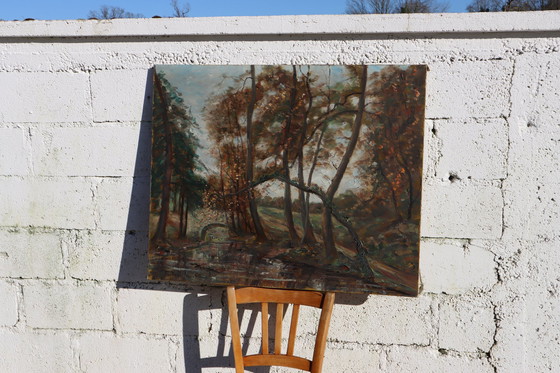 Image 1 of C.Fondanéche-60S Frans olieverfschilderij op doek-herfsttafereel-riviervallei in het bos signatuur C.Fondanéche-60S
