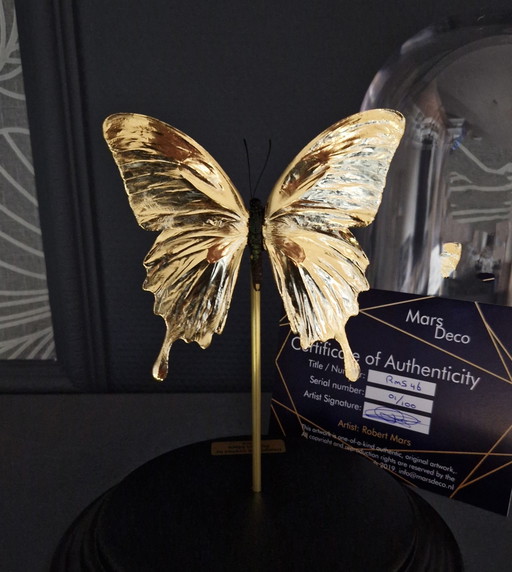 Echte Papilio Vlinder Verguld In 23Ct Goud Onder Glazen Dome