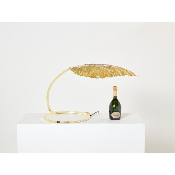Image 1 of Vintage rabarberlamp en laiton van Tommaso Barbi et Carlo Giorgi voor Bottega Gadda, 1970