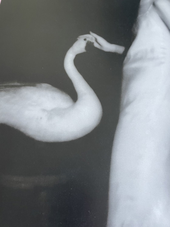 Image 1 of Francesca Woodman (1958-1981), Zonder titel, Over het engel zijn 2015