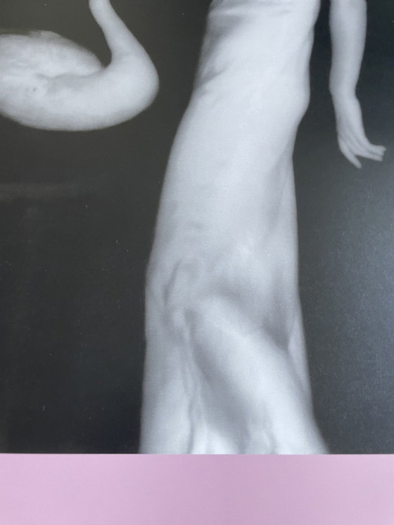 Image 1 of Francesca Woodman (1958-1981), Zonder titel, Over het engel zijn 2015