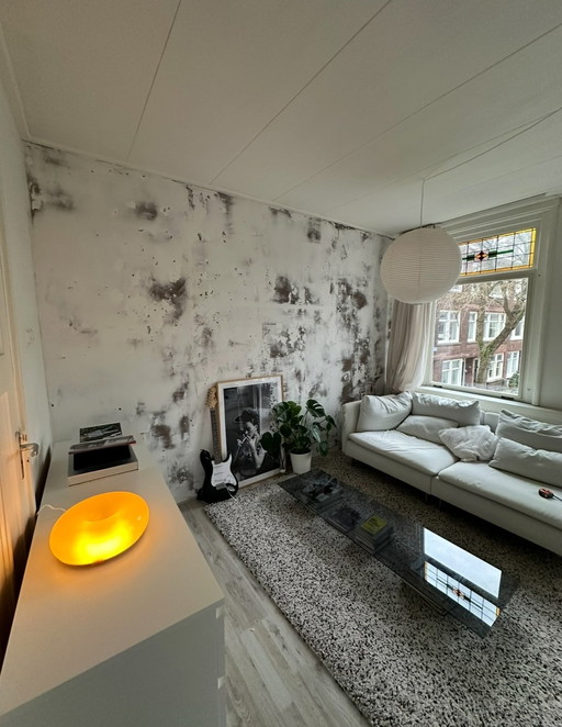 Varmblixt Sabine Marcelis Ikea