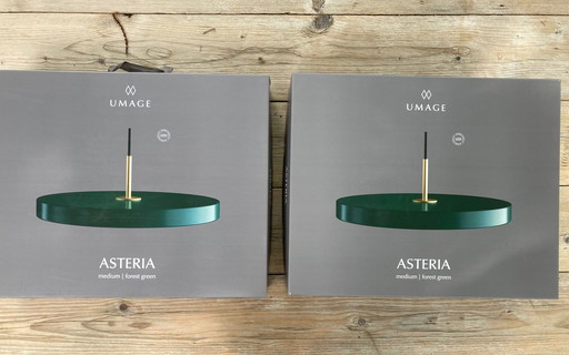 2x Umage Asteria Medium groen